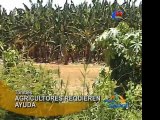 Tumbes Declaran en emergencia sector agrario por crecida de rio