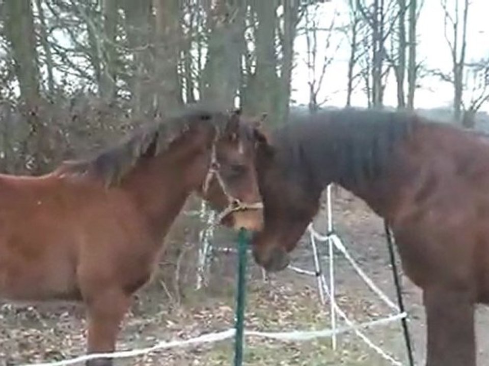 29.02.2012.n.batoukada