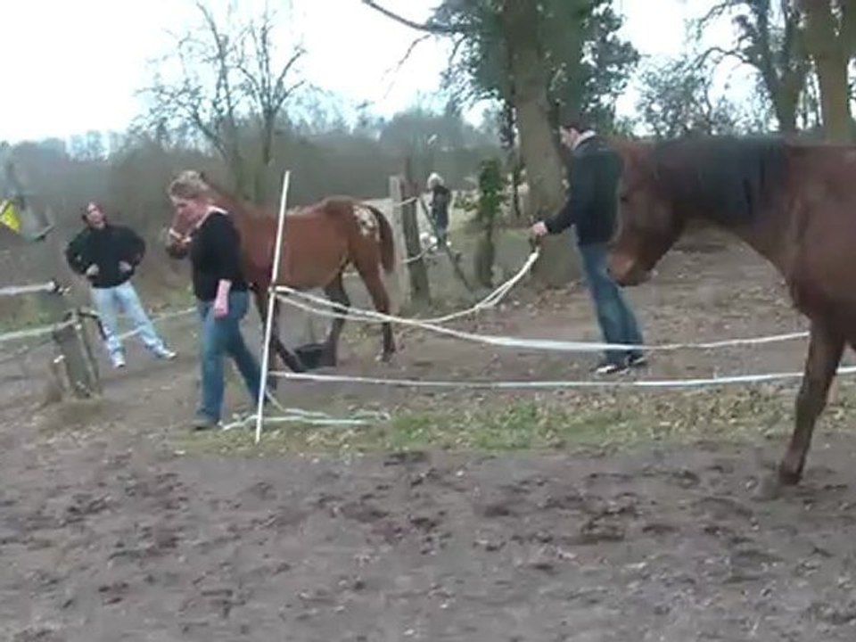 29.02.2012.p.batoukada