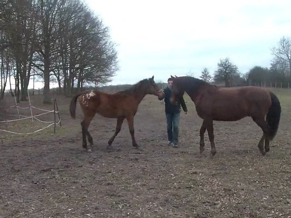 29.02.2012.q.batoukada