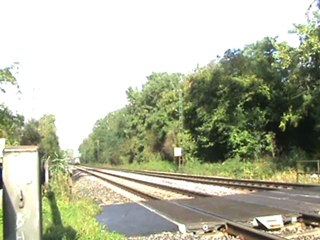 BR152 und BR155 mit Containerzügen bei Rheinbreitbach