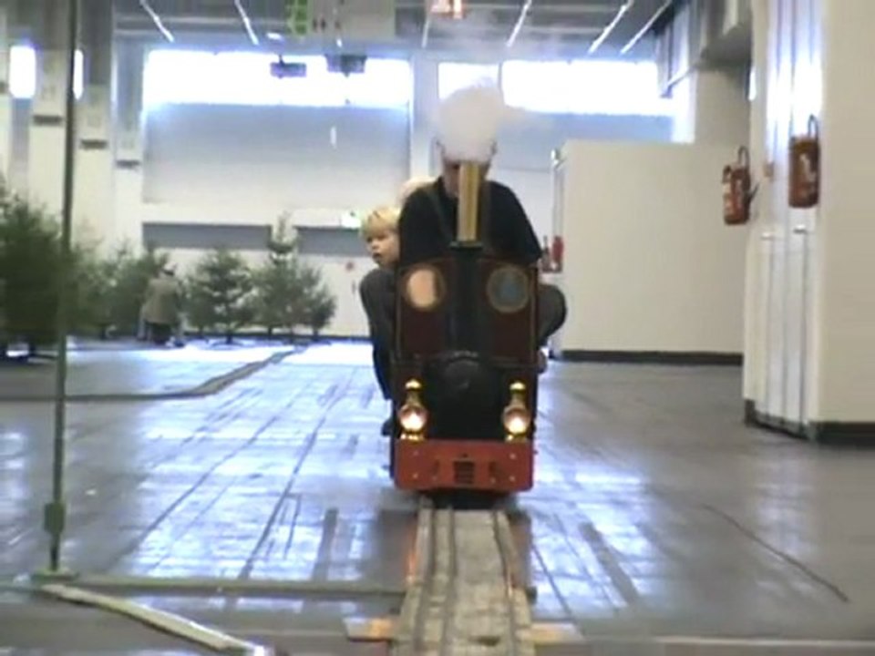 Echtdampfhallentreffen EDHT Köln 2008 Publikumszug mit Publikum und B-Kuppler auf siebeneinviertel Zoll Spur