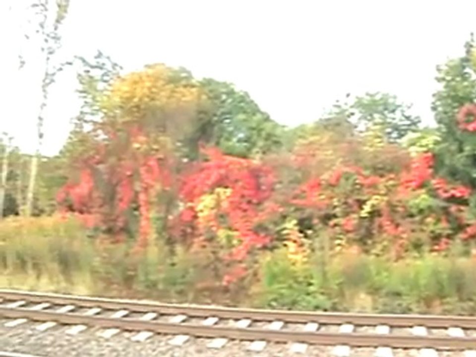 BR151 mit gemischtem Güterzug nach Süden und BR425 nach Bad Honnef bei Rheinbreitbach