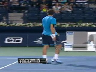 Del Potro espera a Federer en las semifinales del torneo de Dubai