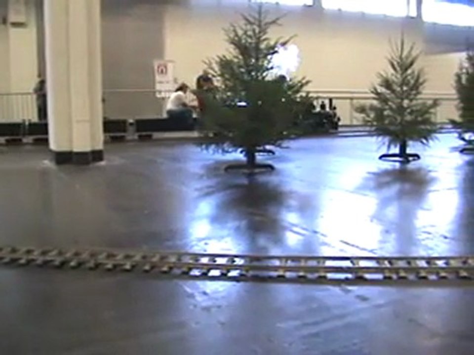 Echtdampfhallentreffen EDHT Köln 2008 Publikumszug bespannt mit C-Kuppler auf siebeneinviertel Zoll Spur