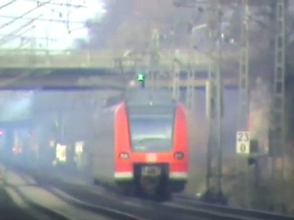 BR425 von Bonn nach Köln bei Bornheim