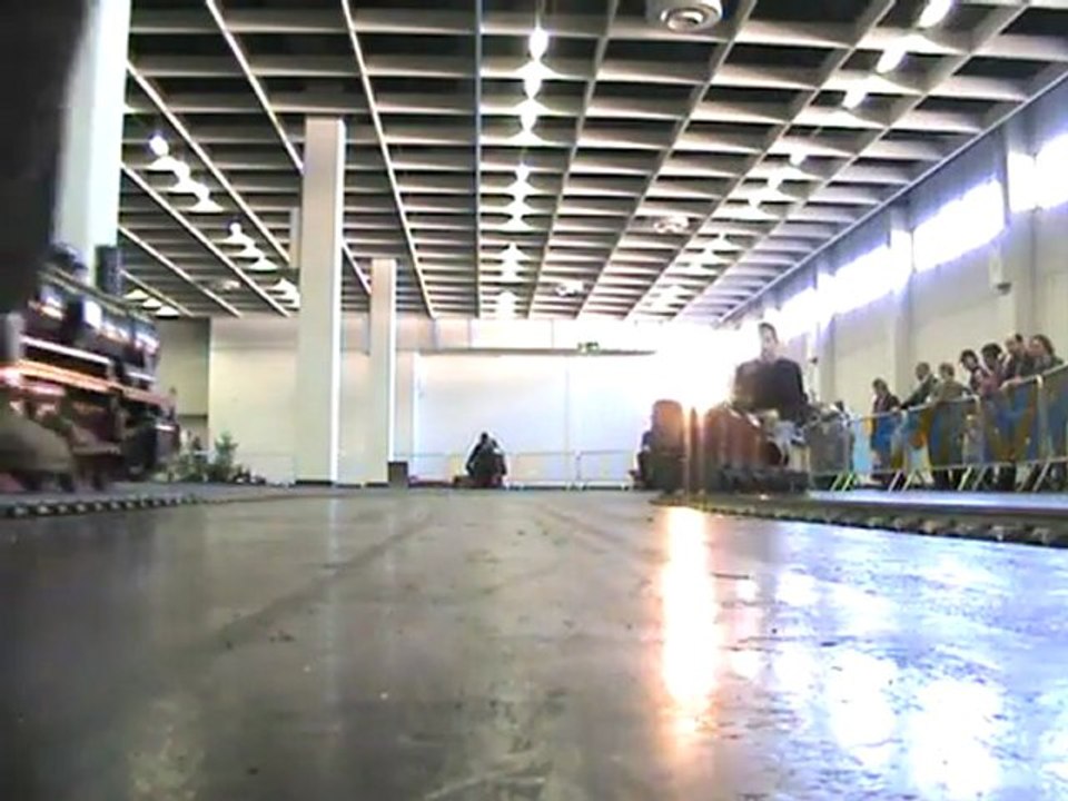 Echtdampfhallentreffen Köln 2008 Zwei Publikumszüge eine Stainz eine Grubenlok und viele andere Lokomotiven