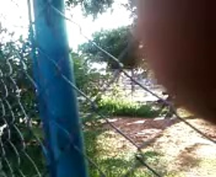 passeio na praça