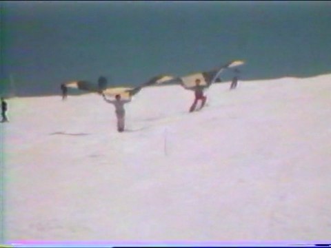 BIRDSAIL 1982 Roland LE BAIL