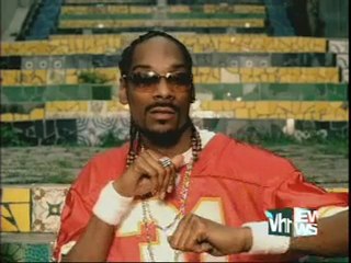 Documentary on Video Vixens