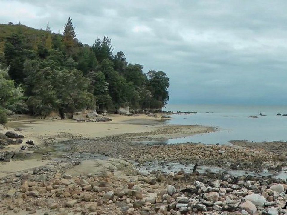 Tinline Bay Walk - Abel Tasman National Park / New Zealand (HD)