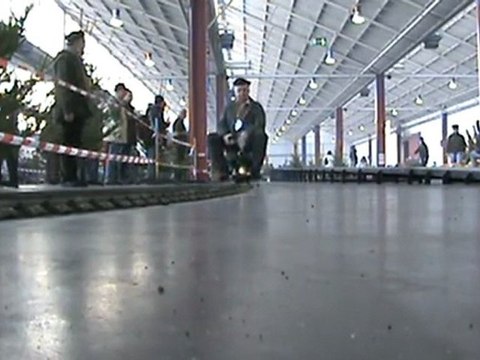 Echtdampftreffen Sinsheim 2009 Eisenbahnverkehr neben der Rampe 002