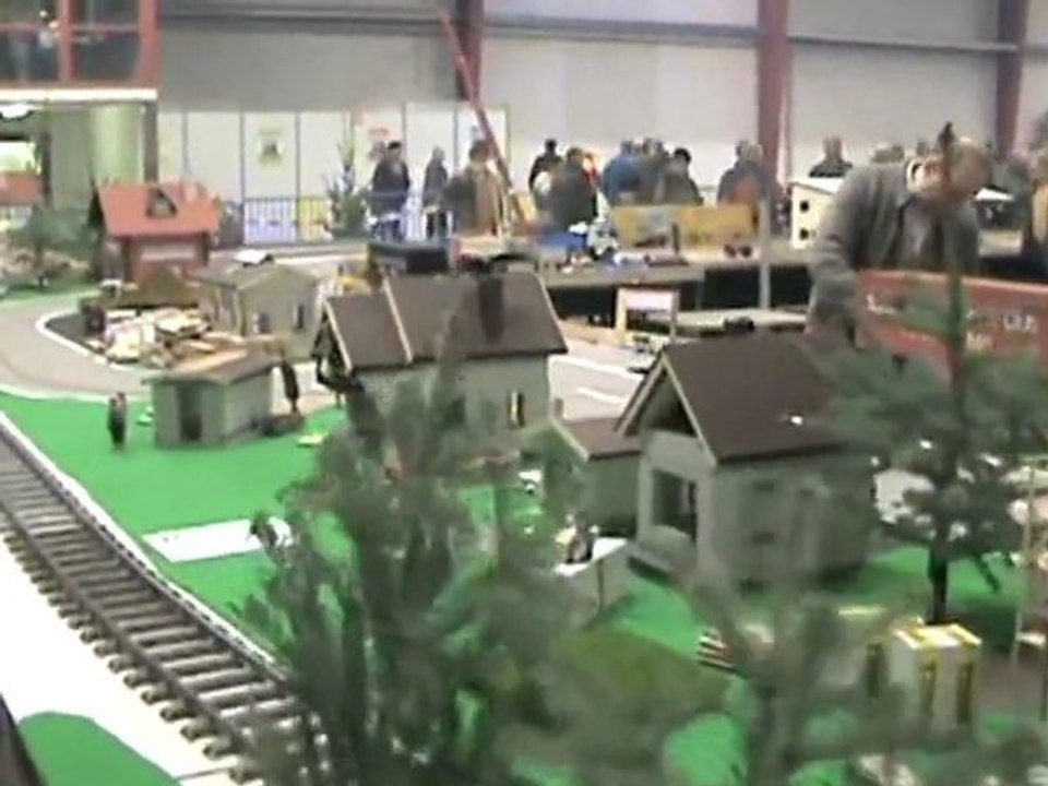 Echtdampftreffen Sinsheim 2009 Containerzüge an der Lastwagenanlage Teil 02 von 02