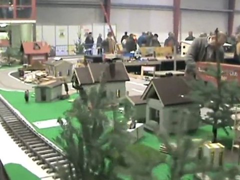 Echtdampftreffen Sinsheim 2009 Containerzüge an der Lastwagenanlage Teil 02 von 02