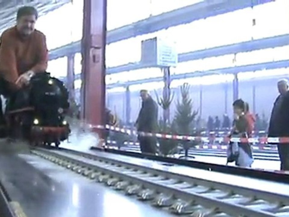 Echtdampftreffen Sinsheim 2009 Lokparade auf der großen Rampe 006