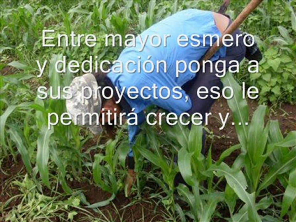 El dinero y los principios para obtenerlo