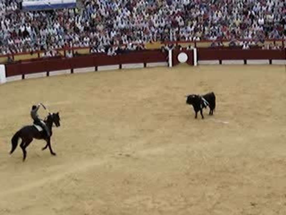 #3 Corrida Alicante