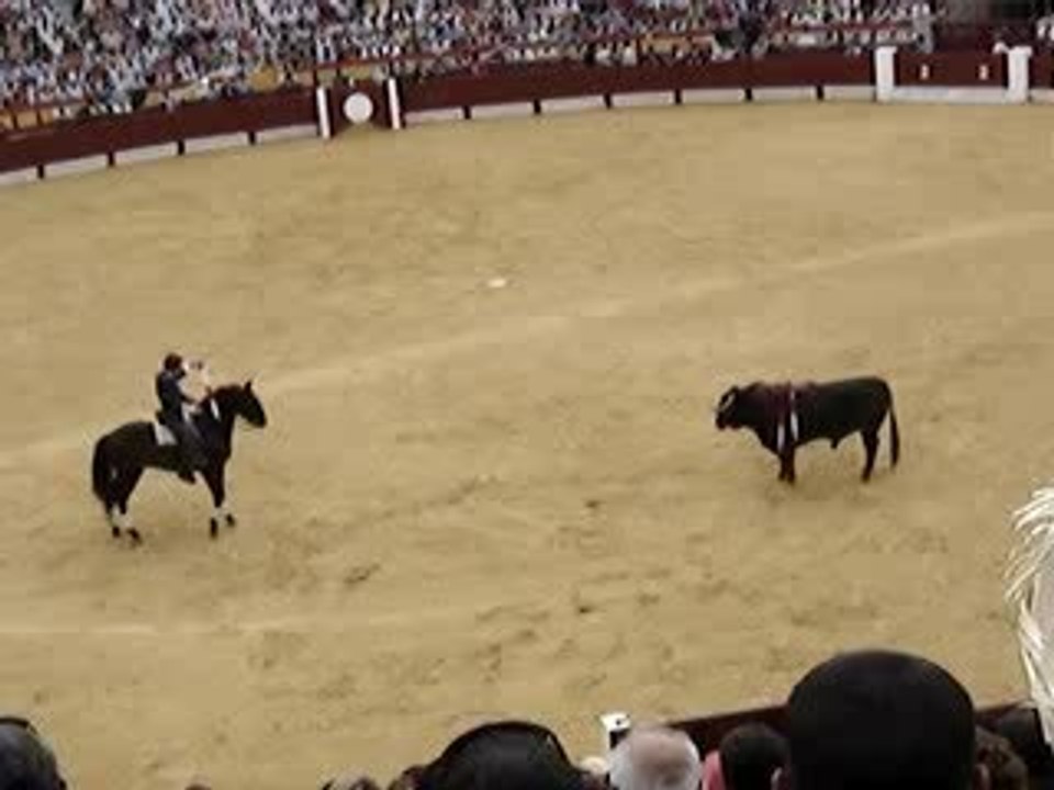 #2 Corrida Alicante