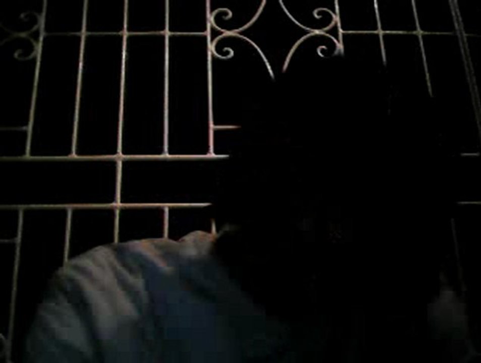 webcam_1330672402099