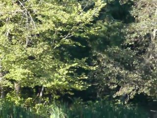 GOLDEN GATE PARK   002
