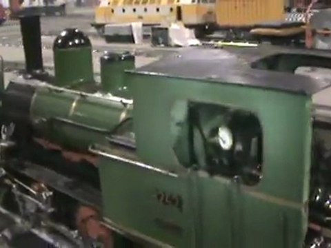 Echtdampftreffen Sinsheim 2009 Tigerli im BW 001