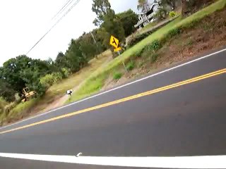 120110 -6 Polipoli and Bust