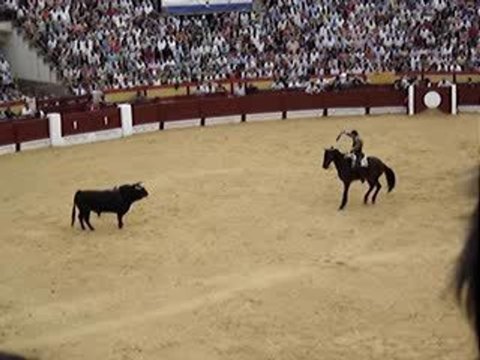 #1 Corrida Alicante