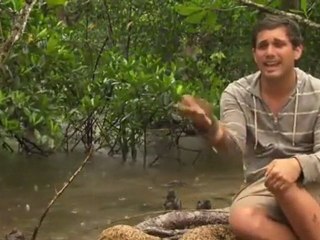 Colton--Rain, Reward and Food (Feb 29, 2012)