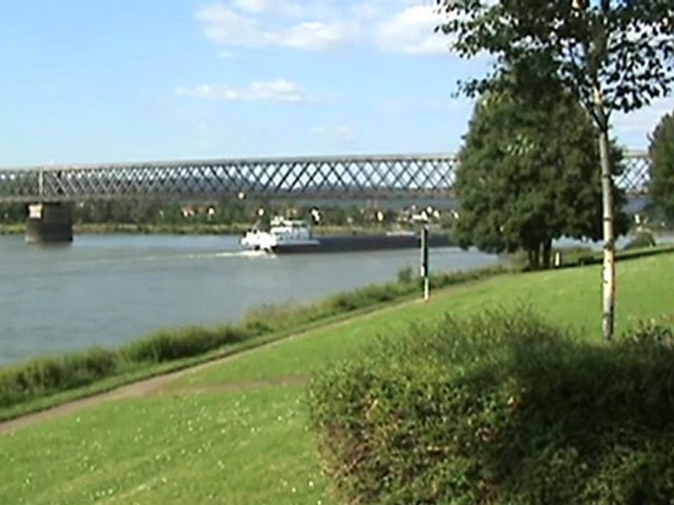 Holländischer Schubverband und andere Rheinschiffe bei der Eisenbahnbrücke von Urmitz