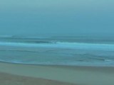 Vendredi 02 Mars - Surf report vidéo 7H30