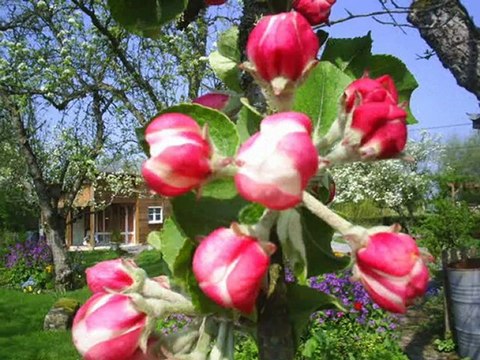 chambres d'hotes de charme en Normandie France