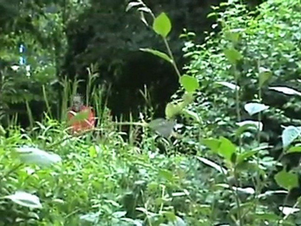 Publikumszug Dampfbahn Leverkusen macht zur Mittagszeit eine Leerfahrt