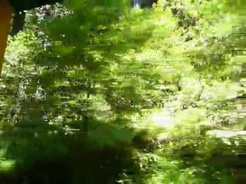 2010 STEAM TRAINS TO BEAR MOUNTAIN 045