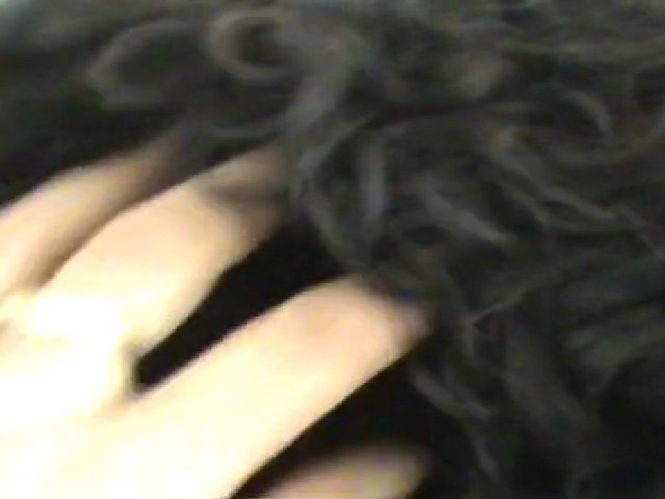 Barbet: grooming/ toilettage Thelma age 10 ( almost!)
