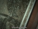 [Vietsub] Zia - The Way I Am (Starring WooJung) {T-araGo ST}