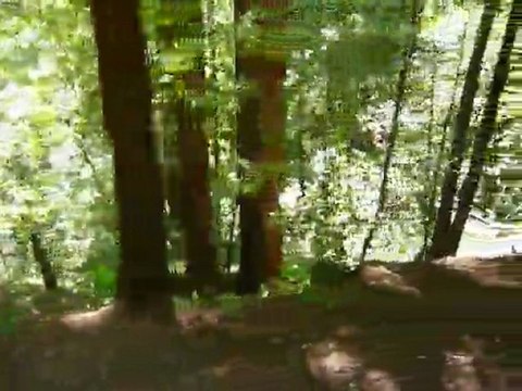 2010 STEAM TRAINS TO BEAR MOUNTAIN 054