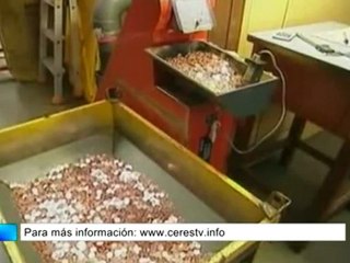 España coloca 4.500 millones al menor interés desde 2010