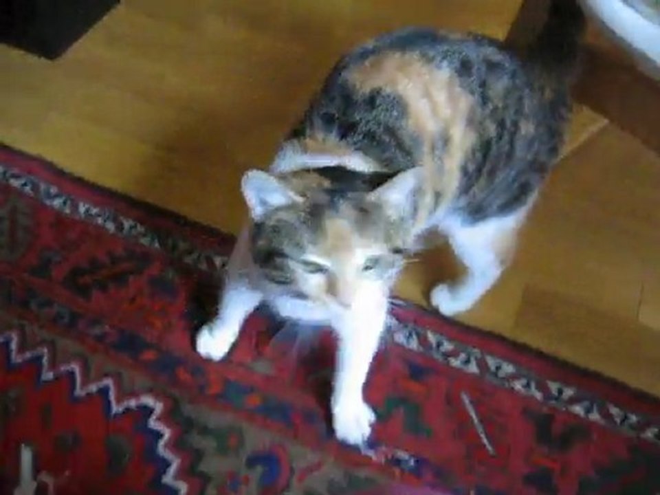 HERMINE