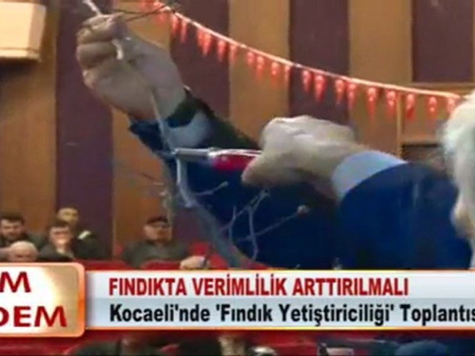 FINDIKTA VERİMLİLİK ARTTIRILMALI 28.02.2012