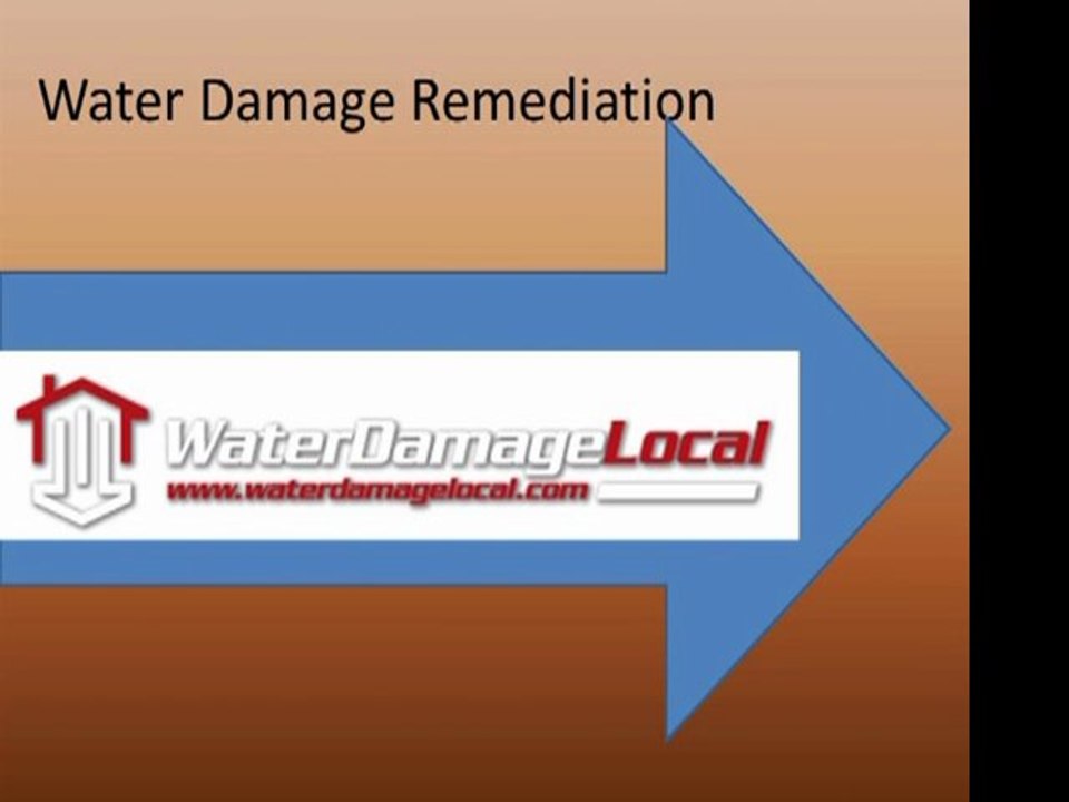 Chicago Water Damage Remediation