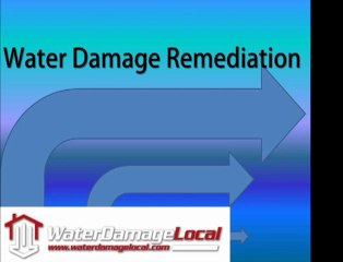 Tampa Water Damage Remediation
