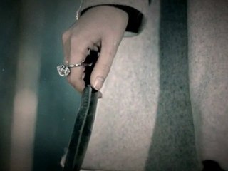 [INSPIRITSUBS] 120204 Birth of a Family - Infinite Abandoned Dogs Prevention Campaign Ver. L