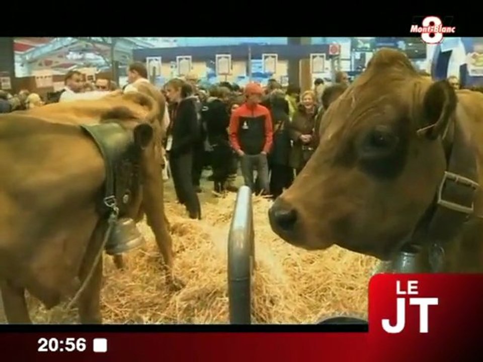 Le fromage des Pays de Savoie à l'honneur (Annecy)
