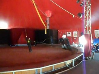 Repetition de voltige equestre  Esprit de Cirque