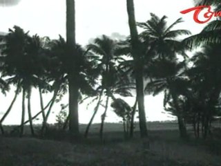 Sreemanthudu Songs - Challani Vennelalo - ANR - Jamuna