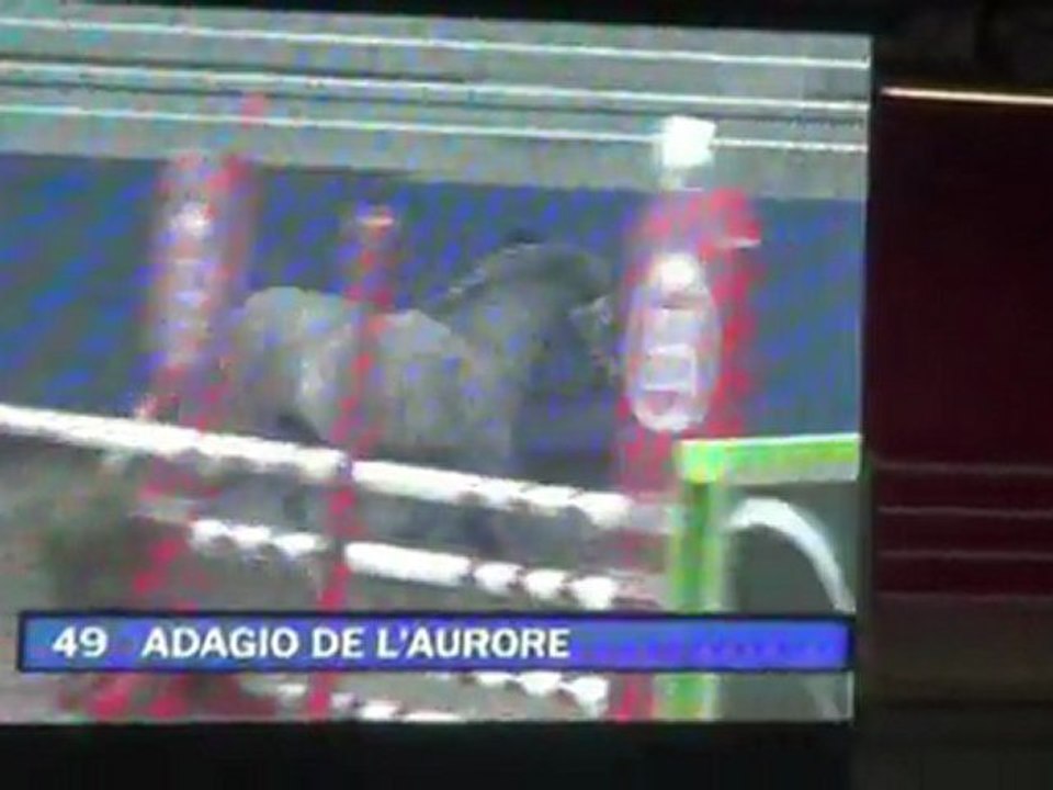 Adagio de l'Aurore