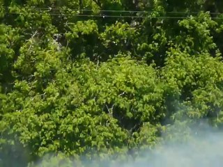 2010  STEAM TRAINS TO BEAR MOUNTAIN 068