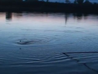 Combat -  Julien en duel carpe hommes 37