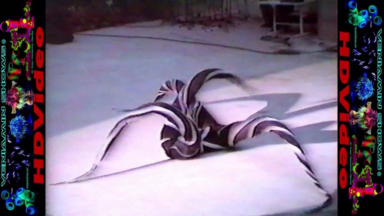 Veniamin's "Octopus Dance" European Tour 1990, Gulhane Park Istanbul, HD