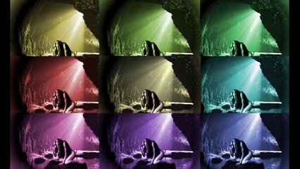 Po110Une réalisation Unique, par Marc Cantin Mtl, Qc